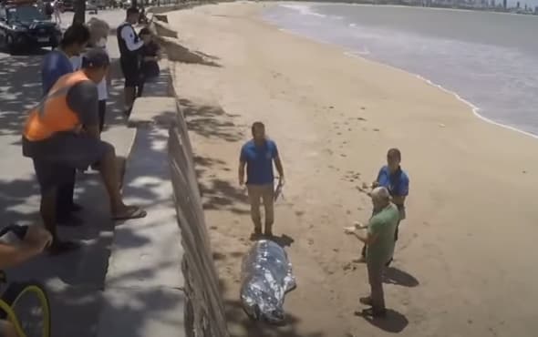 Idoso é encontrado morto na areia da praia de Manaíra, em João Pessoa