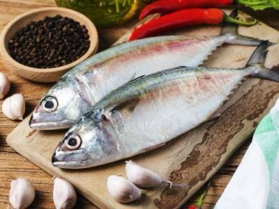 Diferença de até R$35 no quilo de peixe é constatada pelo Procon-PB de João Pessoa