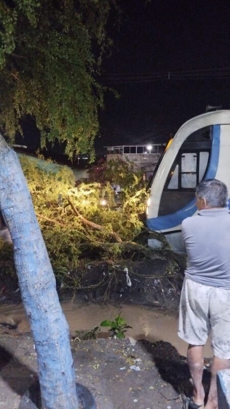 Tempestade derruba árvore sobre trilhos e interrompe trajeto do trem entre Santa Rita e João Pessoa